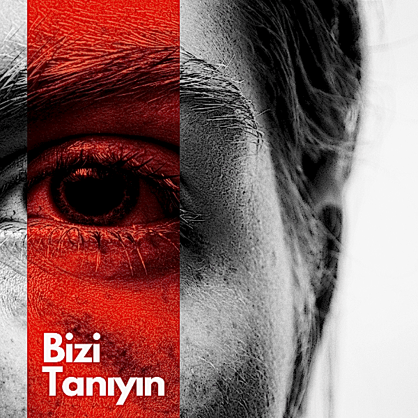 Girişim Desteği
